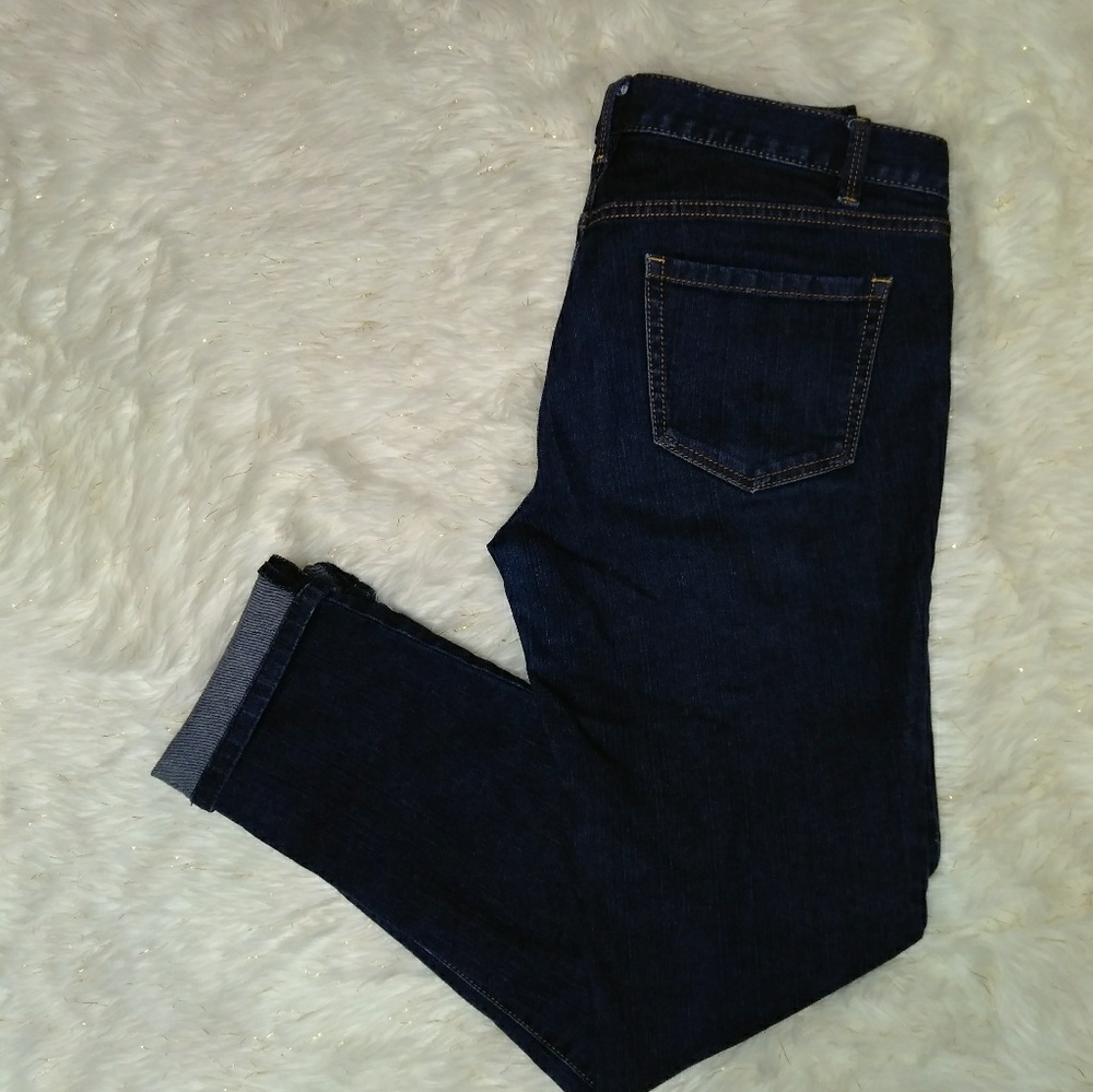 Ann Taylor Loft Modern Slim Denim
